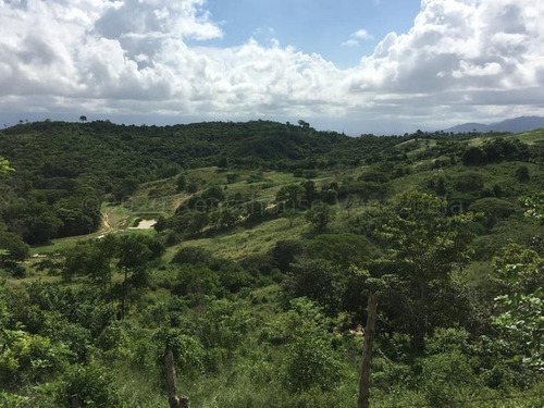 Imagen 8 de 30 de &&& Finca En Venta Aroa Yaracuy Rah 23-4755 // Invierta Seguro Con Rentahouse//