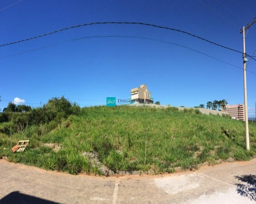 Imagem 4 de 8 de Terreno No Vale Das Palmeiras Com 270m² - T033 - 32070018
