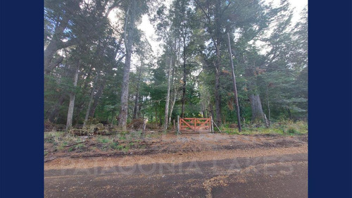 Imagen 12 de 26 de Venta Lote/terreno De 4955.50 M2 Cauquen 100 Altos De Manzano Villa La Angostura
