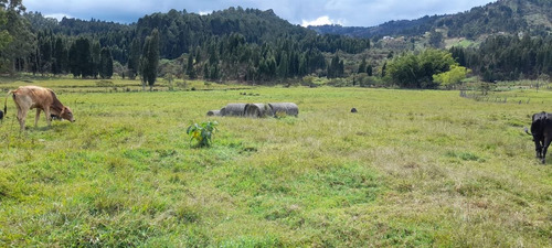 Encantador Lote En Venta Sector Aeropuerto Para Parcelacion