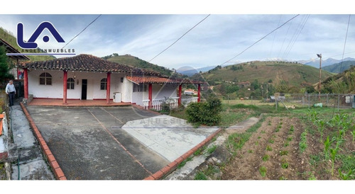 Imagen 6 de 28 de Finca Mérida