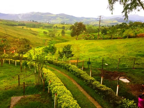 Restrepo, 4 Hectáreas, Espectacular Finca Ganadera Y Agrícola