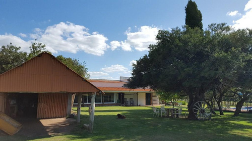 Las Pircas Espectacular Olivar 46ha A Minutos De Punta Del Este