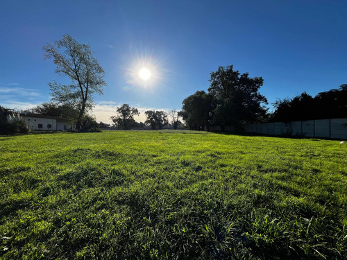 Terreno/lote En Venta Y Alquiler En Parque Industrial Polo 21- Merlo-