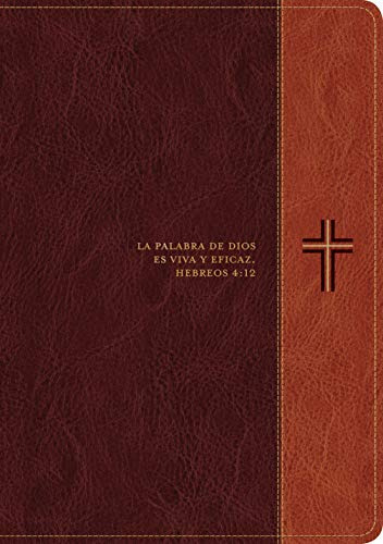 Biblia De Estudio Del Diario Vivir Rvr60, Letra Grande (sent