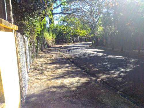 Imagem 3 de 6 de Terreno À Venda Em Jardim Das Paineiras - Te009785