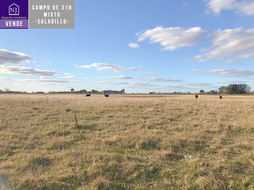 Imagen 12 de 13 de Vendo Campo De 31 Ha