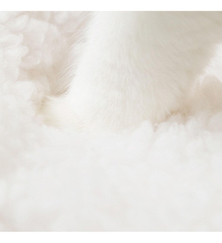 Cama Para Perros Y Gatos Con Estilo Único Marrón M