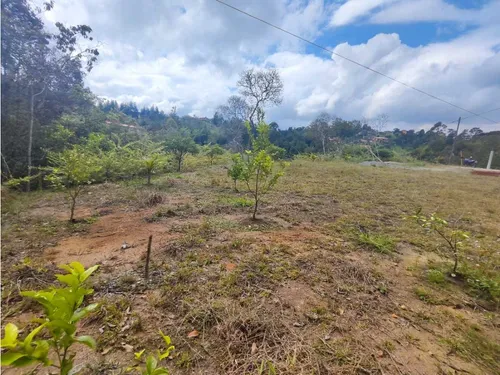 Lote En Rionegro Vereda La Playa