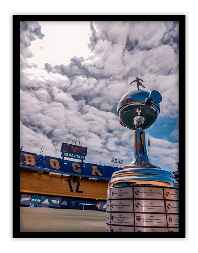 Cuadro Boca Juniors Campeón - Copa Libertadores 