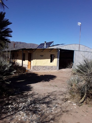 Imagen 2 de 17 de Chacra Rural Con Galpon