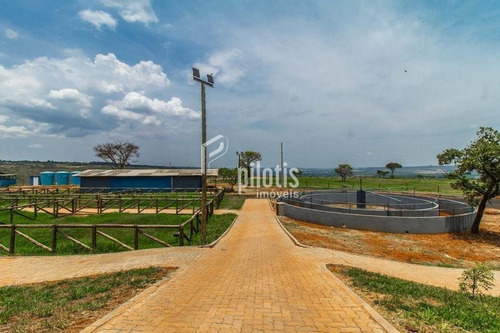 Imagem 13 de 15 de Sitio - Outros - Ref: 699 - V-p895