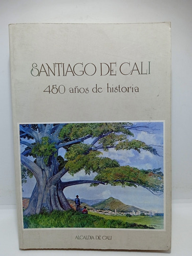 Santiago De Cali - 450 Años De Historia - Alcaldía De Cali 