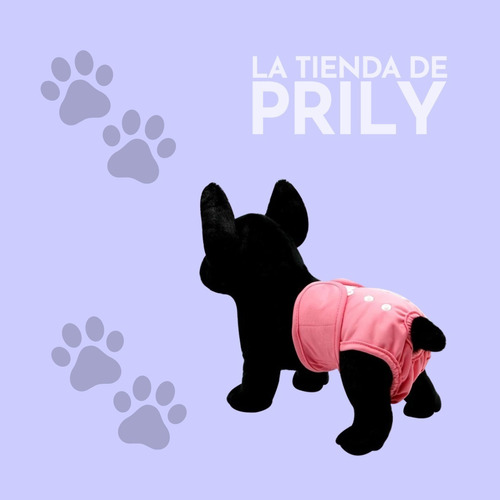 Pantalones Sanitarios Para Mascotas