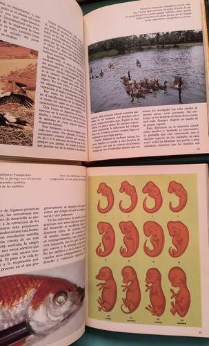 Biblioteca Salvat Gt De Grandes Temas 23,68 Y 71 (Usado)