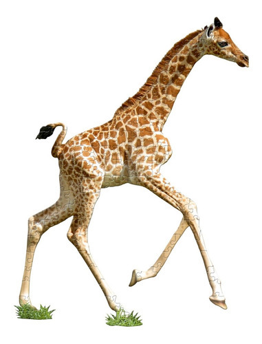 Rompecabezas - I Am Giraffe Madd Capp Puzzle Jr. 100