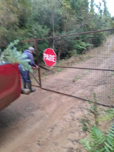 Se Vende Montaña Forestal