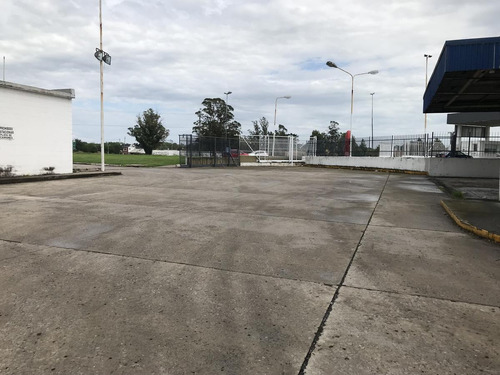 Imagen 8 de 17 de Alquiler Deposito Planta Predio Carrefour.mar Del Plata.