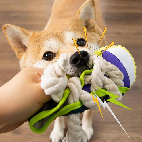 Juguete Para Morder Para Perros, Borde De Zapato Morado