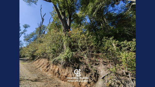 Imagen 7 de 23 de Venta Lote/terreno Fracción De 6500,24 M2 Vista Al Lago Faldeo Del Bayo Villa La Angostura