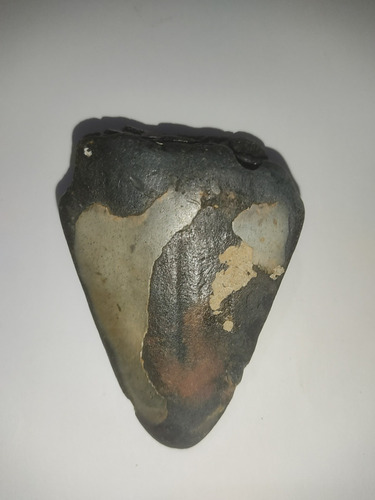 Imagen 8 de 8 de Diente Gigante Tiburón Megalodon Fósi Dinosaurio Monstruo