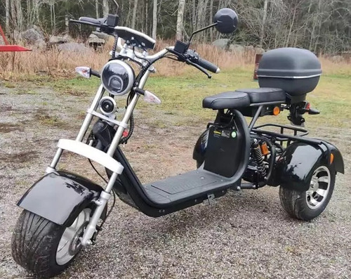 Imagen 10 de 15 de Moto Scooter Trimoto 3 Ruedas 2000w 20ah Autonomía 50km