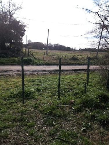 Imagen 12 de 29 de Chacra En Madariaga