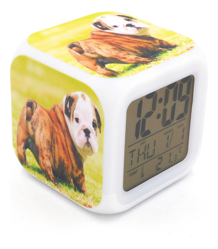 Reloj Despertador Diseño Perro Bulldog Ingl Personalidad