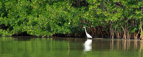 Venta Rancho Ganadero 1229 Hectáreas Tuxpan Veracruz.
