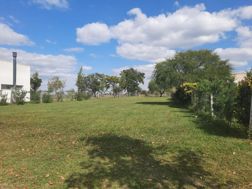 Imagen 2 de 8 de Lote En Venta, San Alfonso, Pilar