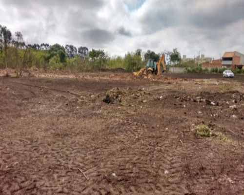 Imagem 4 de 8 de Terreno - Te-17 - 32142492