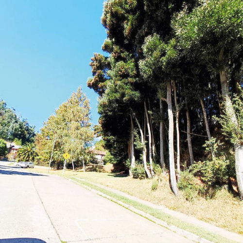 Terreno Con Proyecto Aprobado En Sector De Villuco