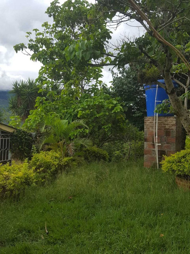 Imagen 9 de 12 de Venta De Finca En San Vicente De Dagua 601.