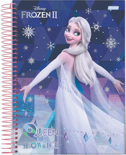 Caderno C/d 01 Materia Frozen 80 Folhas Capa Sortida Jandaia