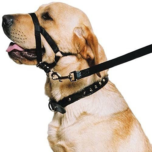 Ancol - Collar Principal - - Adiestramiento De Perros Cabest