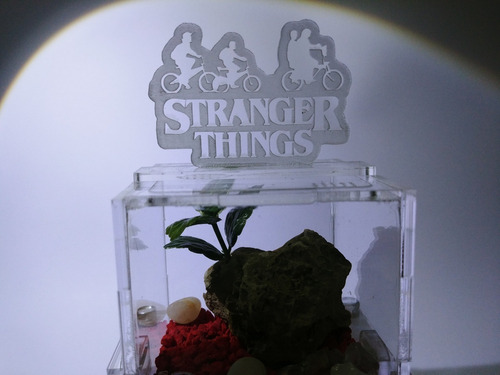 Hormiguero De Acrílico De Stranger Things Azotamentes Color Negro Azota Mentes