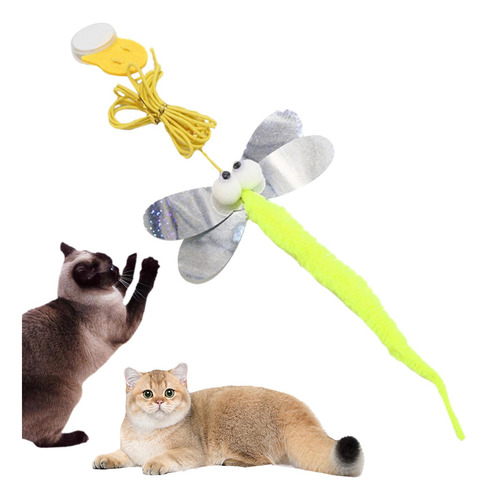 3 Herramienta De Entrenamiento Para Colgar En Perros Y A