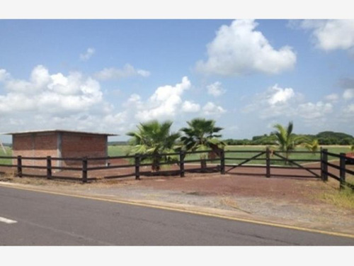 Imagen 1 de 12 de Terreno En Venta La Piedra