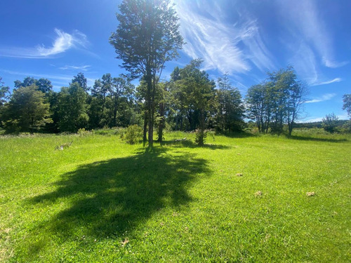 Cabañas En Venta En Villarrica - Oportunidad De Inversión