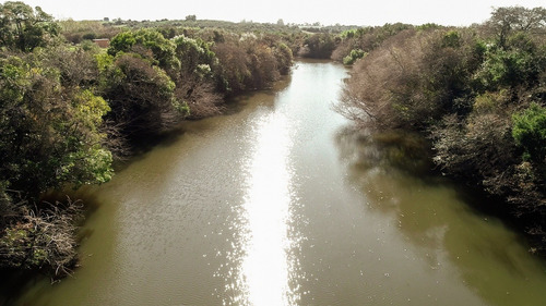 Imagen 7 de 12 de Chacras Venta Nueva Palmira Sobre Arroyo Navegable