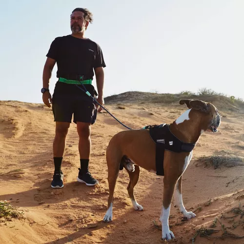 Running Belt  Zee.Run – Zee.Dog