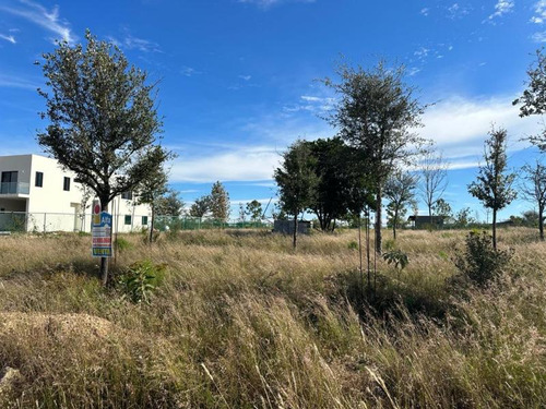 Terreno En Venta, Mil Encinos, Montemorelos, Nuevo Leon.  Terreno Campestre