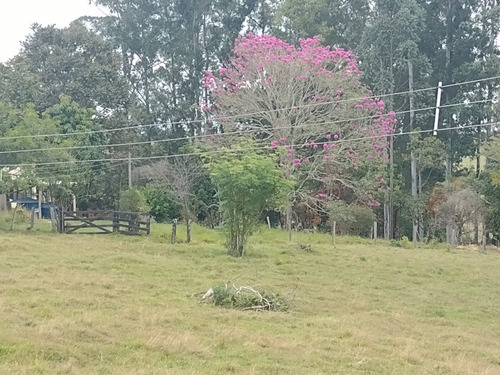 Imagem 7 de 30 de Chácara 4,5 Alqueires Casa Simples E Boa,poço Caipira Agua Cristalina,corrego No Fundo,fácil Acesso 800mts Do Asfalto,ótimo Pasto,27 Kms Itapetininga - Ch00081 - 69505662