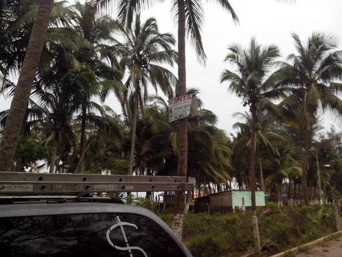 Venta Terreno Frente Al Mar 1821 M² Playa Tuxpan Veracruz