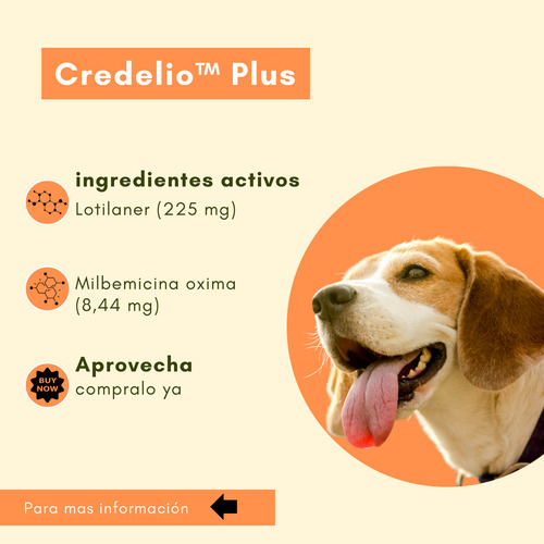 Pastilla Contra Pulgas Y Garrapatas En Perros 5.5 A 11kg