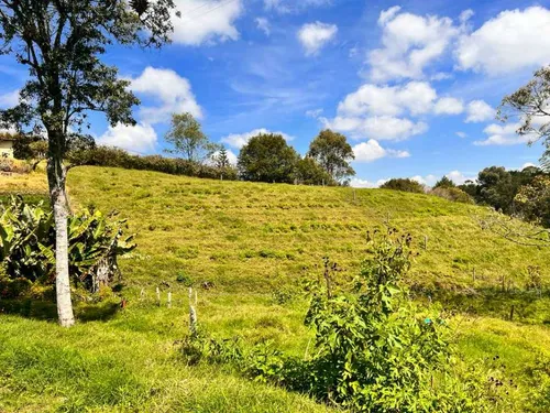Lindo Lote En Venta Con Excelente Ubicación -vereda Cabeceras Rionegro