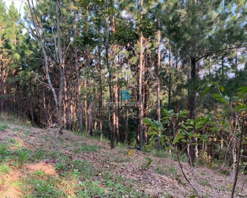Imagem 7 de 30 de Chácara Para Residir Em Atibaia - Sp - Escriturada Com 3101,00 Metros Quadrados - Ch00925 - 69736248