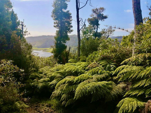 Sitios En Venta En Llico Puerto Varas