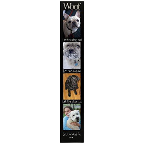 Diseños Internacionales Memoria Woof Stick, 4 Opciones...