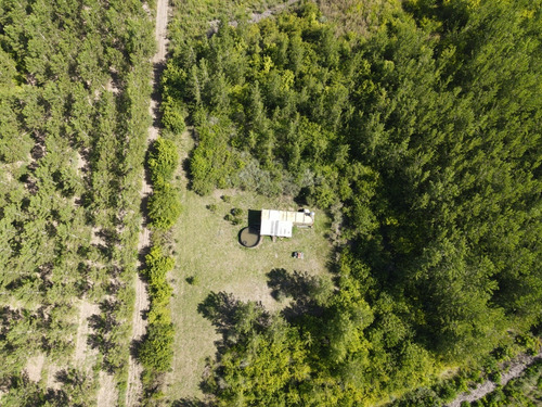 Quinta De 7,6 Hectáreas Con Acceso Terrestre Y Fluvial, Con Cabaña Y Deck.